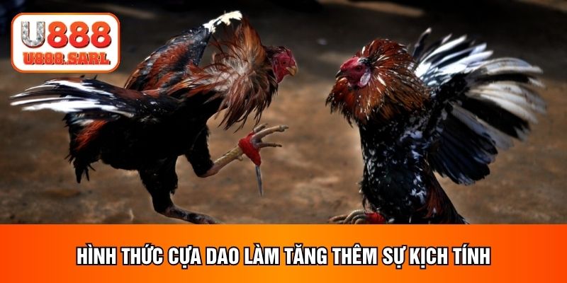 Hình thức cựa dao làm tăng thêm sự kịch tính